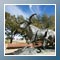 Bronze Cattle Sculpture<br/>Fort Worth